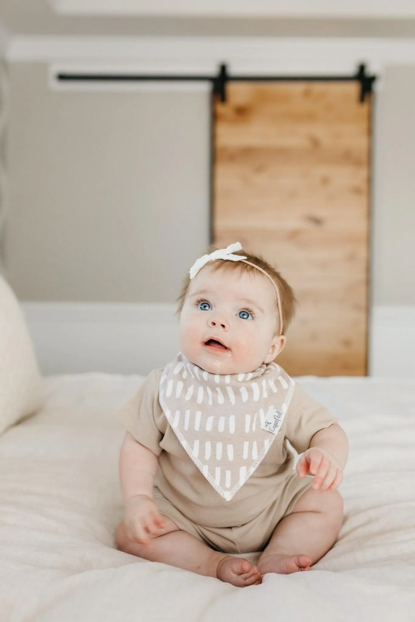 Baby Bandana Bibs - Bliss