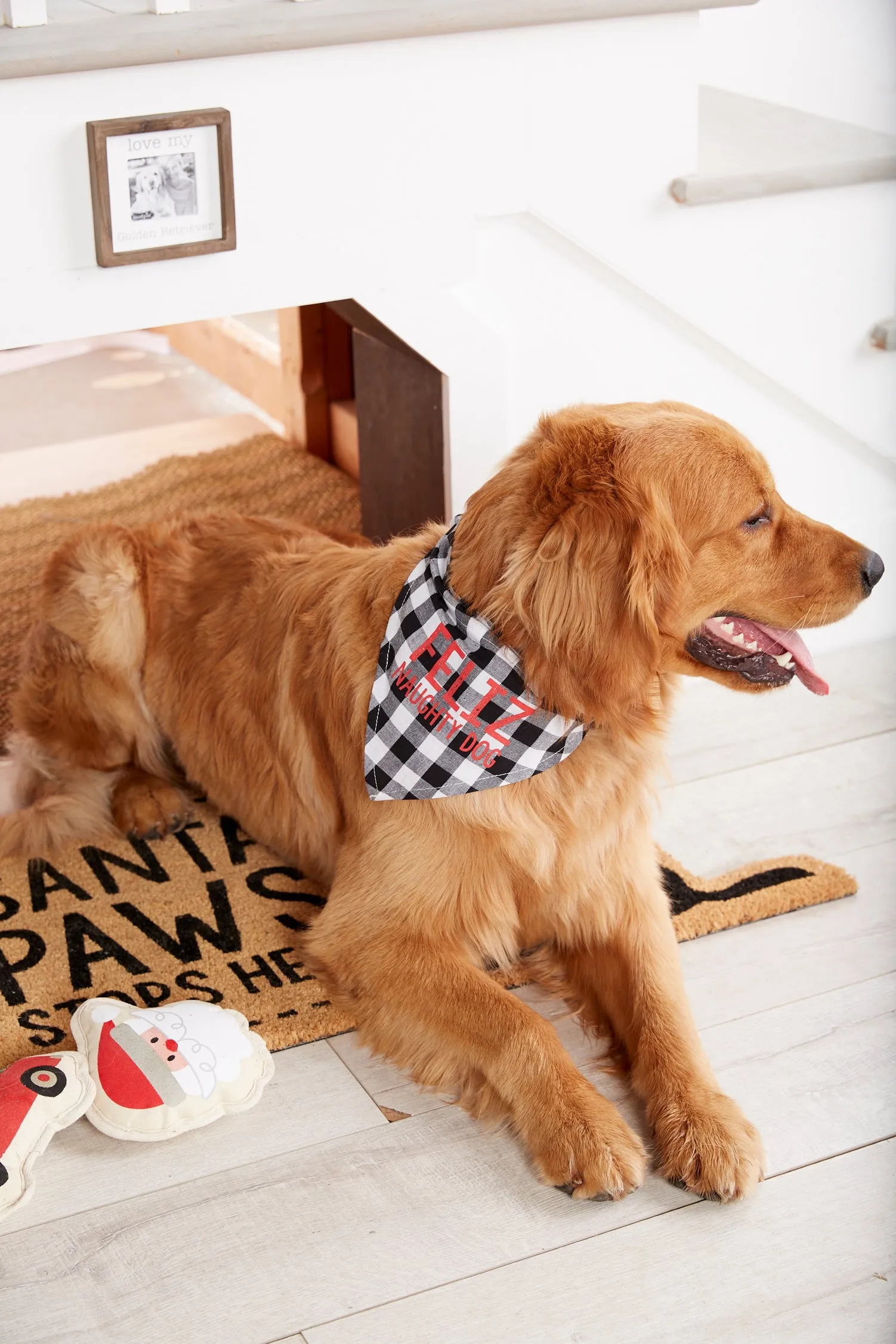 Buffalo Check Holiday Dog Bandanas - Mudpie Fall Puppy Collar