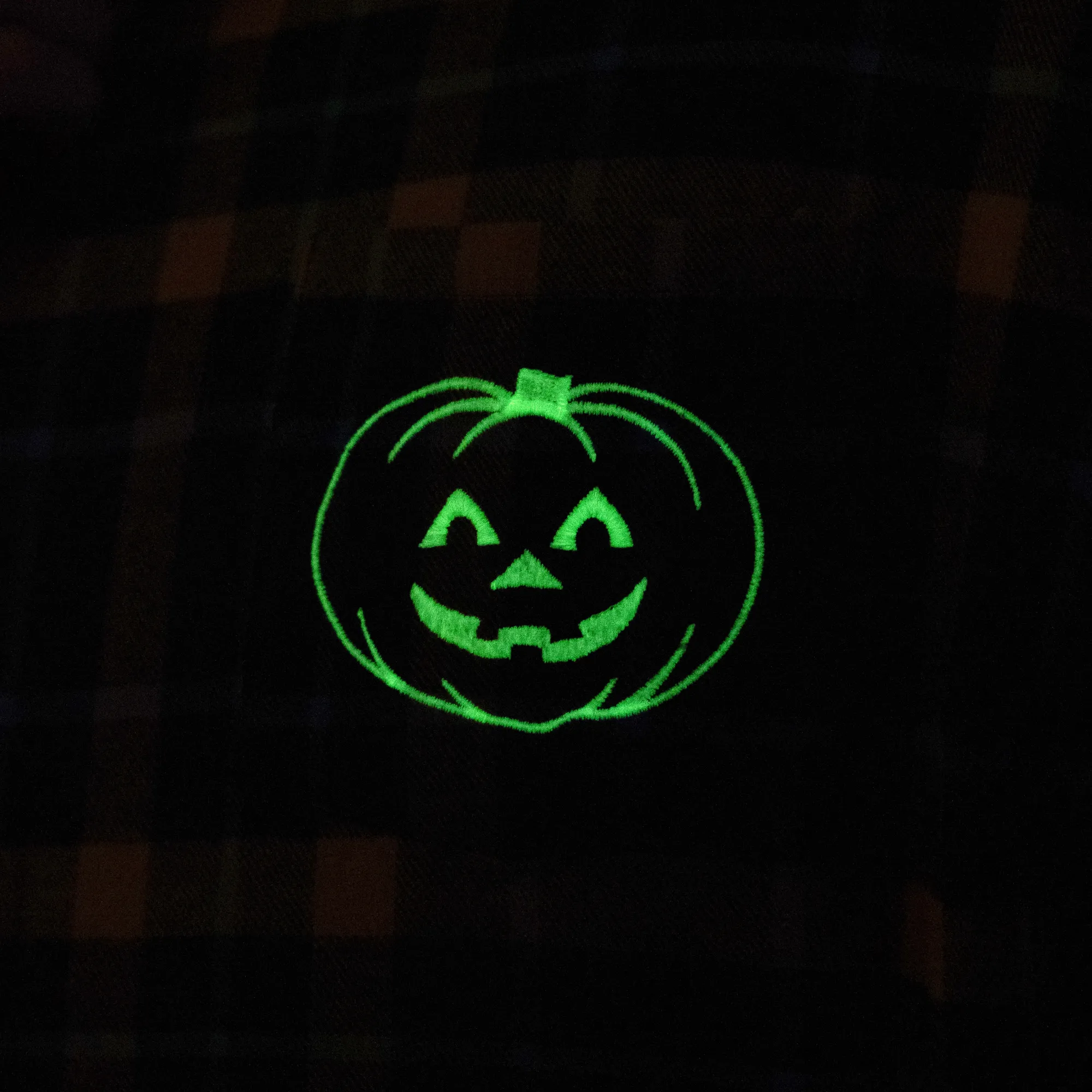 Scareworthy Glow Haunted House Flannel